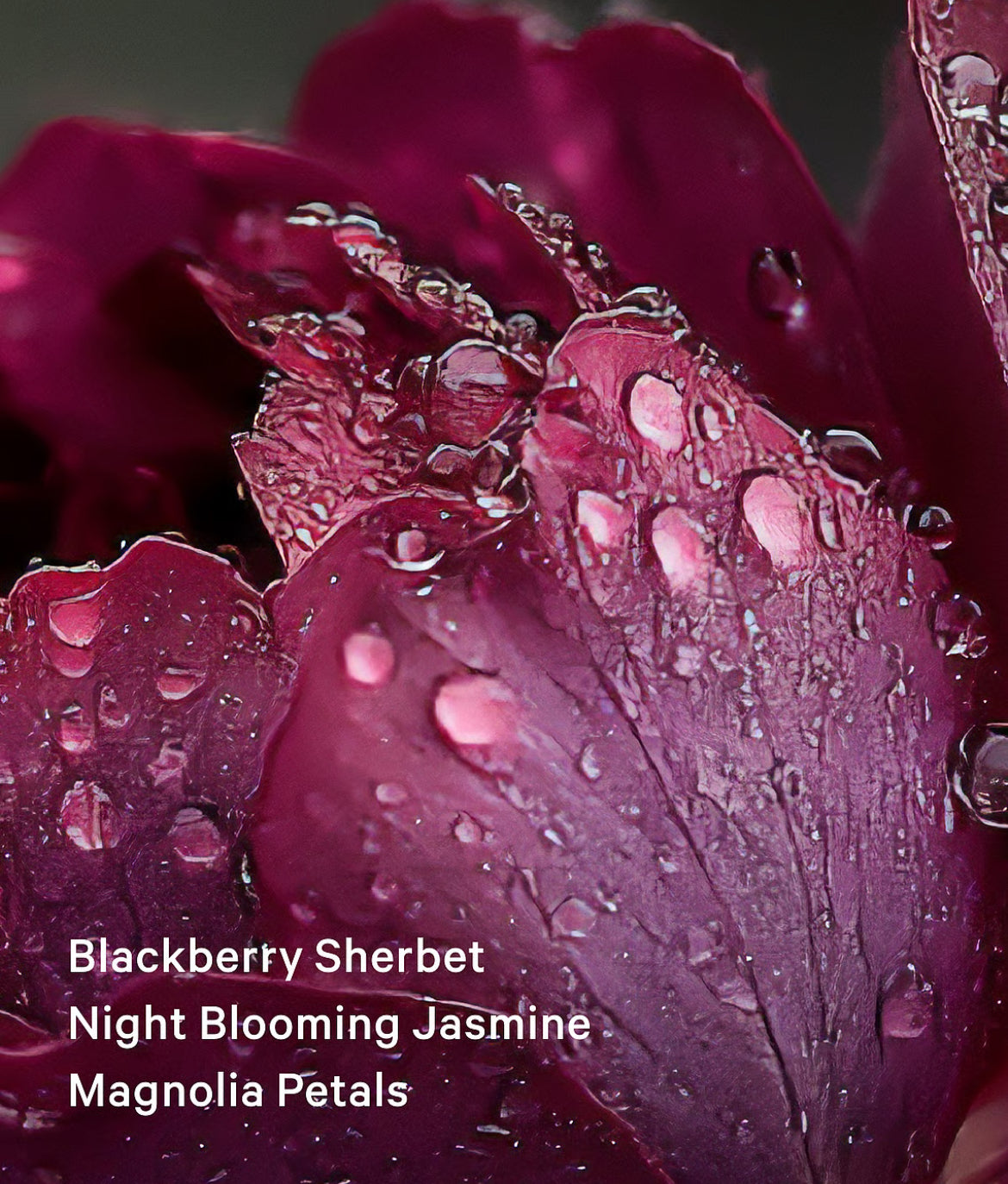 Sultry Petals Fragrance Mist