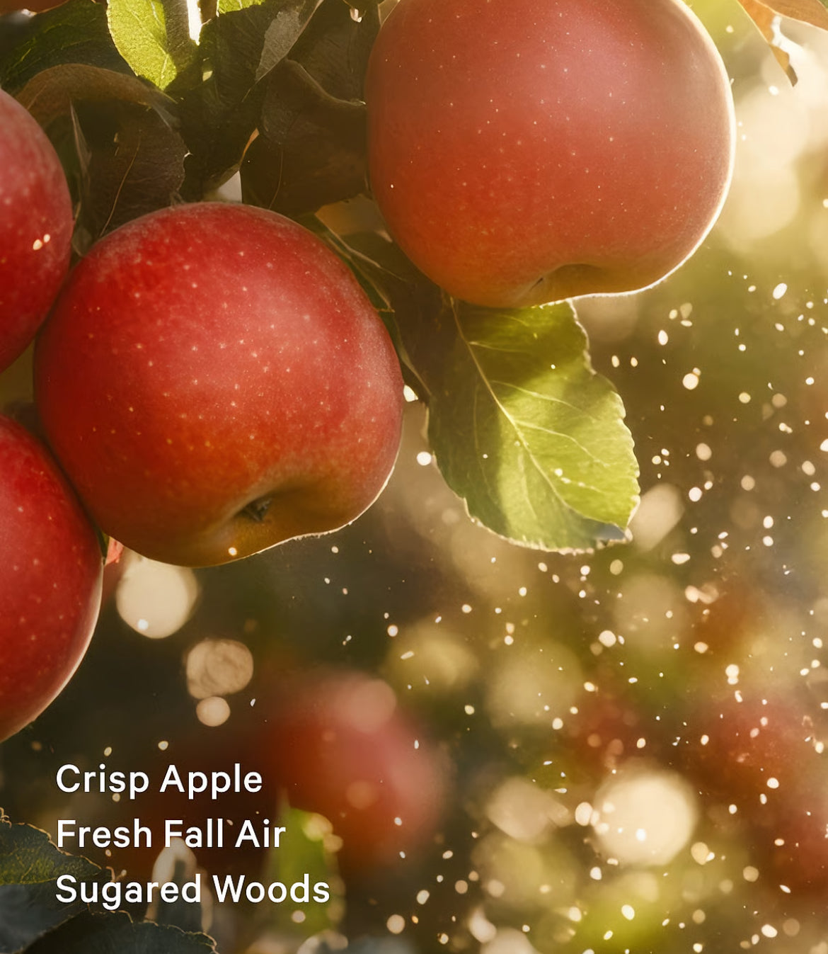 🍎✨ Dreamy Apple Orchard Fragrance Mist 🌿