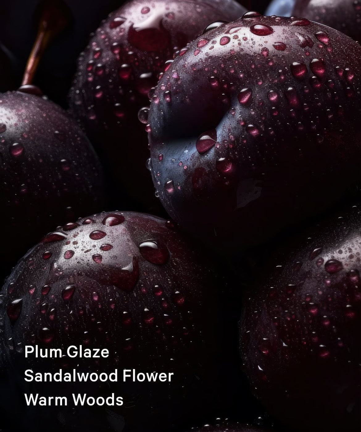 Decadent Plum Fragrance Mist